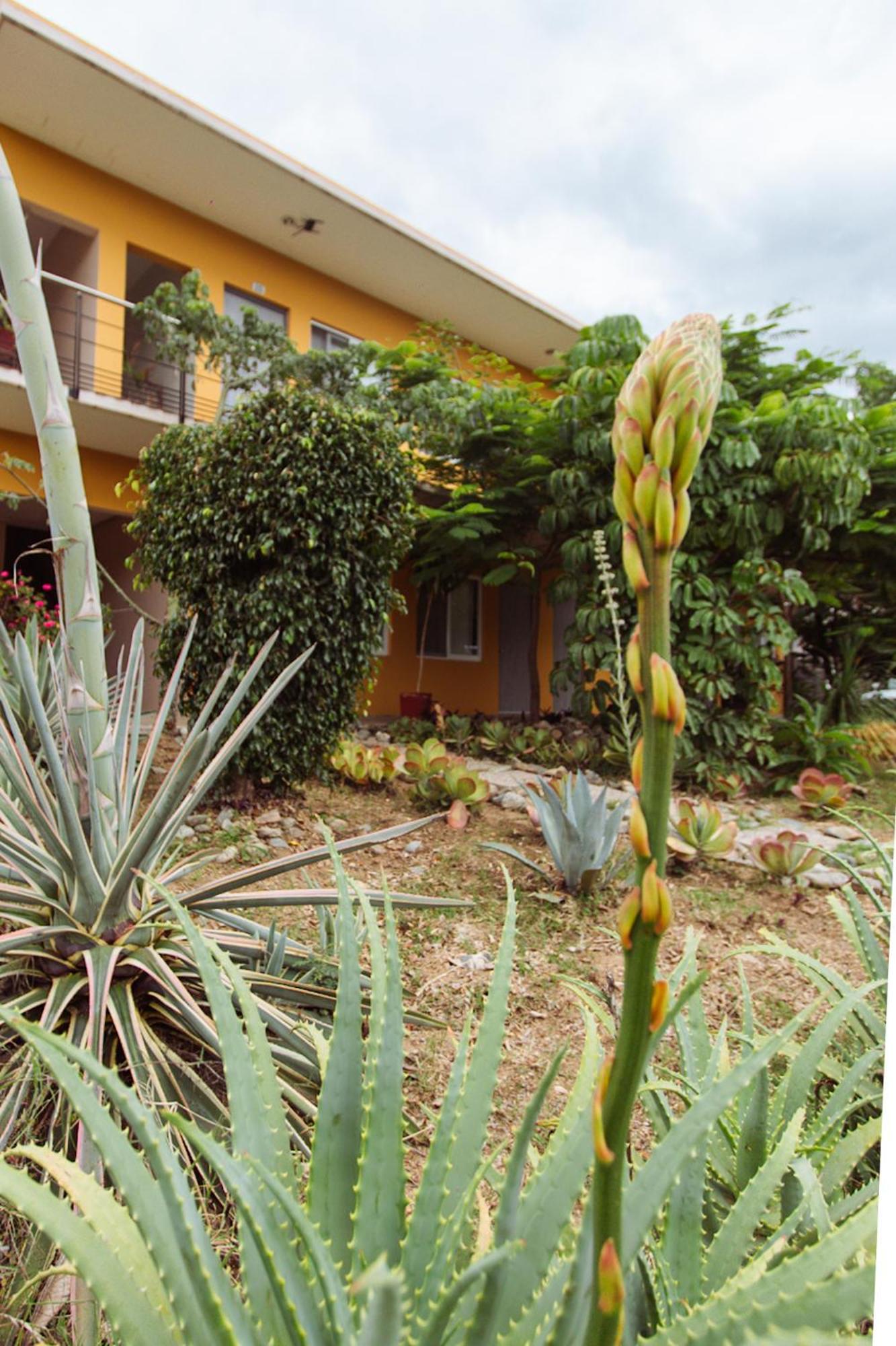 Hotel Guiva San Pablo Hacienda Blanca Zewnętrze zdjęcie